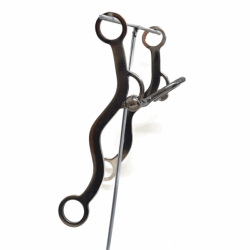 Twisted Spoon Port Gag
