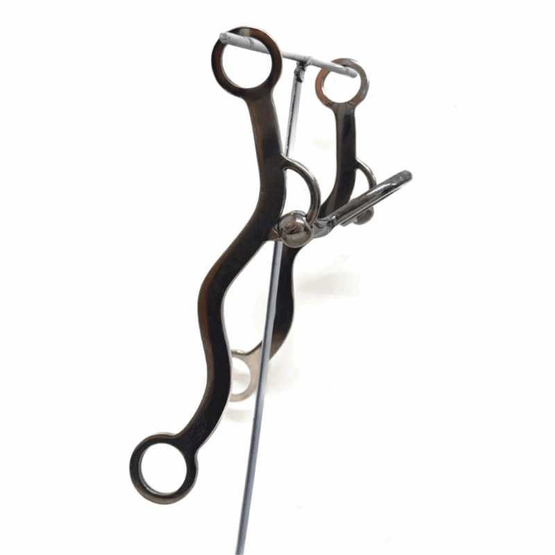 Twisted Spoon Port Gag