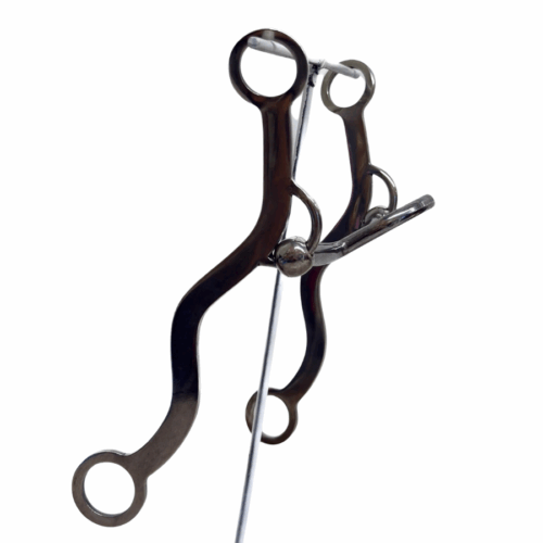 Spoon Port Gag Bit